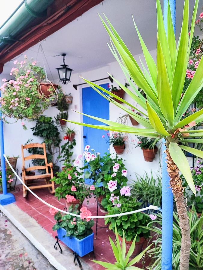 Apartamento Alcazar San Basilio Córdoba Eksteriør bilde